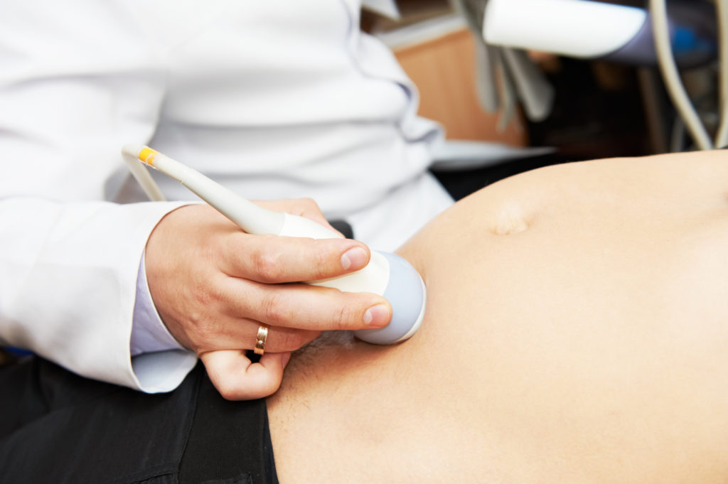 gravid