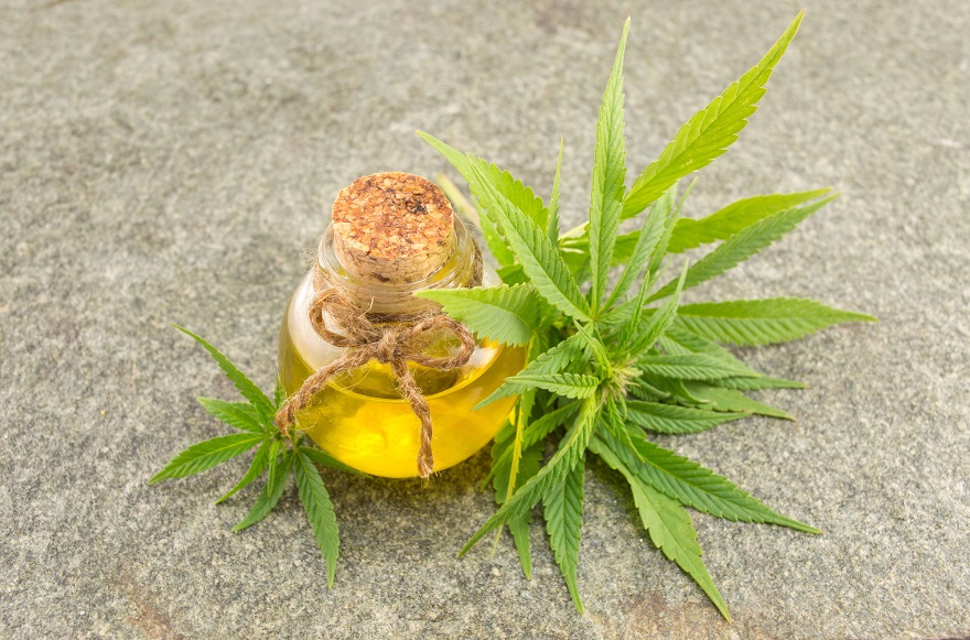 Cannabisolie